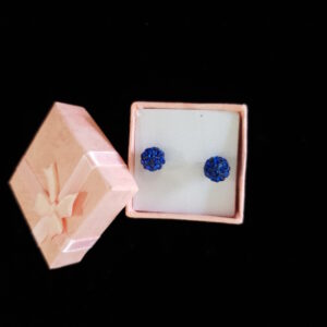 Dark Blue Crystal & Clay Stainless Steel Stud Earrings